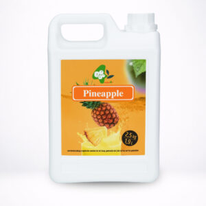 Xarope de Ananás Bubble Tea 2,5kg