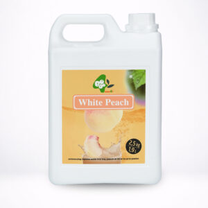 Xarope de Pêssego Paraguaio Bubble Tea 2,5kg