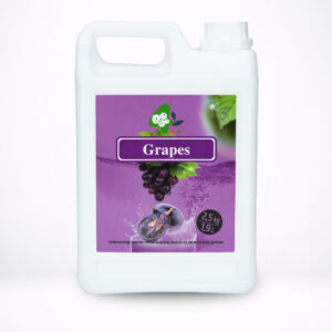 Xarope de Uva Fruit Bubble Tea 2,5kg