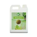Honeydew Syrup