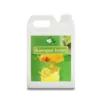Kumquat Lemon Syrup