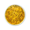 Diced Passion Fruit